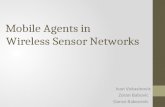 Mobile Agents in  Wireless Sensor Networks