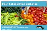 Open Collaboration Exchange