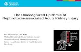 The  Unrecognized Epidemic of  Nephrotoxin-associated Acute Kidney Injury