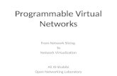 Programmable  Virtual  Networks