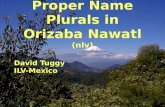 Proper Name Plurals in Orizaba  Nawatl ( nlv )