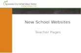 New School Websites