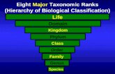 Eight  Major  Taxonomic Ranks (Hierarchy of Biological Classification)