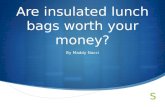 Are insulated lunch bags worth your money?