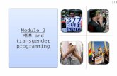 Module 2 MSM and  transgender  p rogramming