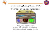 Evaluating Long Term CO 2  Storage in Saline Aquifers