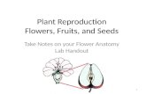 Plant Reproduction Flowers, Fruits, and Seeds