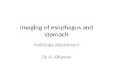 Imaging of esophagus and stomach