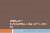 Organic Macromolecules/Polymers