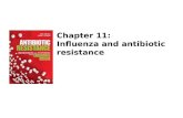Chapter 11: Influenza and antibiotic resistance