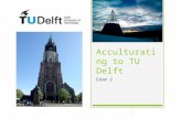 Acculturating to TU Delft
