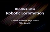 Robotics Lab 3 Robotic Locomotion