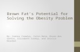 Brown Fat’s Potential for Solving the Obesity Problem