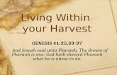 Living Within  your  Harvest