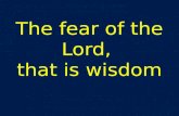 The fear of the Lord,  that is wisdom
