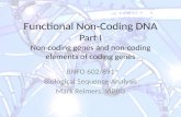 Functional Non-Coding DNA Part I Non-coding genes and non-coding elements of coding genes