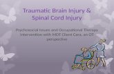 Traumatic Brain Injury & Spinal Cord Injury