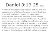 Daniel 3:19- 25 (NKJV)