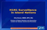 H1N1 Surveillance  in Island Nations