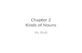 Chapter 2 Kinds of Nouns