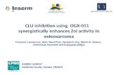 CLU inhibition  using   OGX-011  synergistically enhances Zol activity  in  osteosarcoma