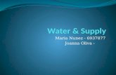 Water & Supply