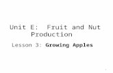 Unit E:  Fruit and Nut Production