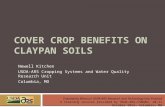 Cover crop benefits on  claypan  Soils