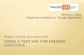 Using a test  Hay  for Feeding Livestock