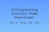 Interpreting Insulin Pump Downloads