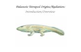 Paleozoic Tetrapod Origins/Radiation:  Introduction/Overview