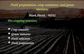 Field preparation, crop r otations , and green  manures Mark Pavek - WSU