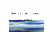 The Secret Ocean