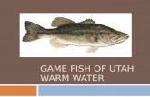 Game fish of Utah Warm Water