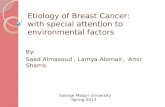 Etiology of Breast Cancer:  with special attention to environmental factors