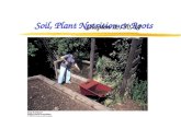 Soil, Plant Nutrition & Roots