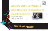 Where's Wally (or Waldo) ? Why Structure is Important in Blackboard Sites