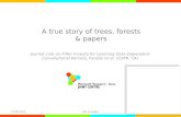 A true story of trees, forests & papers