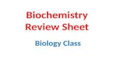 Biochemistry Review Sheet