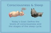 Consciousness & Sleep