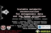 Scalable metabolic reconstruction for metagenomic data and the human microbiome
