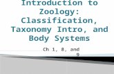 Introduction to Zoology:  Classification, Taxonomy Intro, and Body Systems
