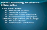 Option E: Neurobiology  and behaviour; Syllabus outline