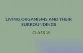 LIVING ORGANISMS AND THEIR SURROUNDINGS
