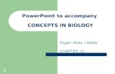 PowerPoint to accompany  CONCEPTS IN BIOLOGY