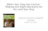 When Your Dog Has Cancer:  Making the Right Decisions for You and Your Dog