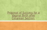 Proposal of Success for a Vaginal Birth after Cesarean Section