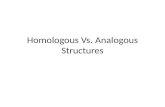 Homologous Vs. Analogous Structures