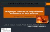 Invaginação  Intestinal  de  Pólipo Fibróide Inflamatório  do  Íleon  Terminal