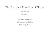 The Memory Function of Sleep